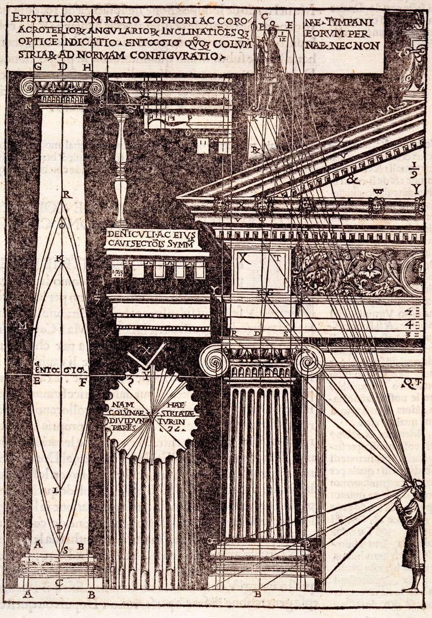Esempi di proporzioni classiche, da Di Lucio Vitruvio Pollione de architectura a libri dece, di Gotardo de Ponte Como, 1521 da Cesare di Lorenzo Cesariano