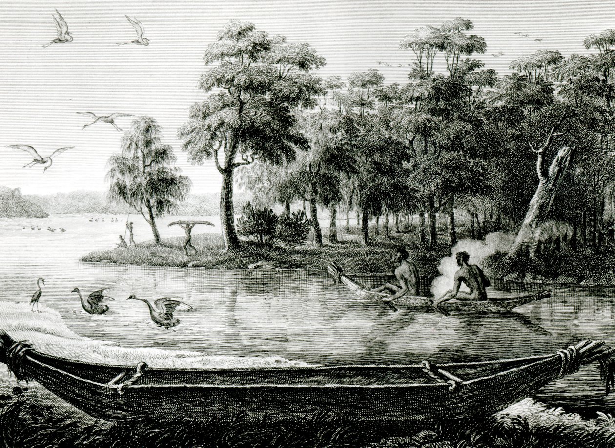 Nuova Olanda: Nuovo Galles del Sud da Charles Alexandre Lesueur