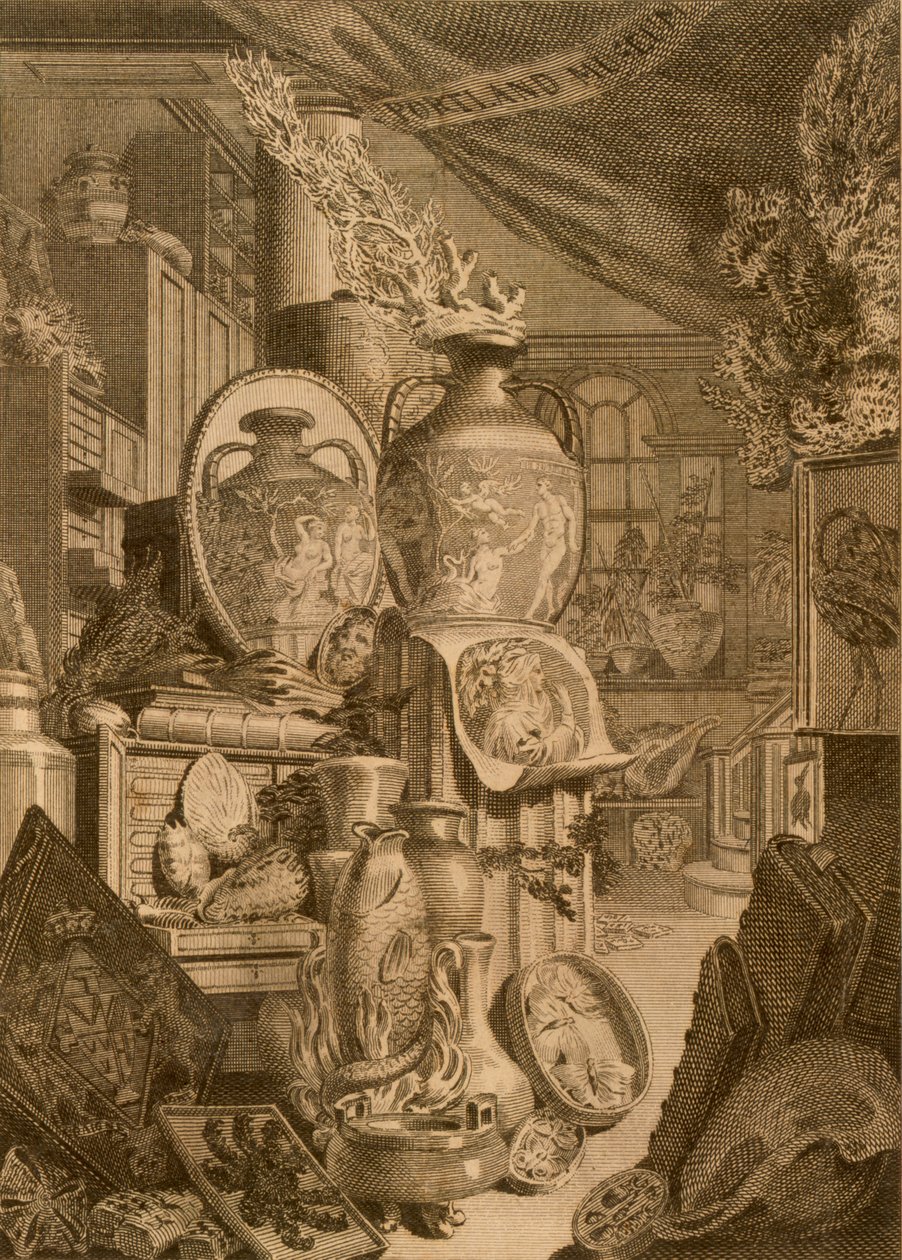 Museo di Portland, 1786 da Charles Burney