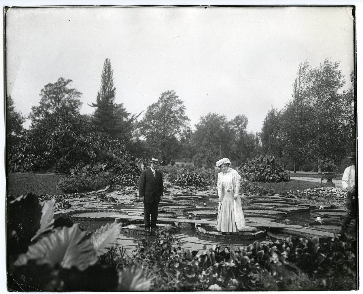 Orizzontale, fotografia in bianco e nero che mostra un uomo e una donna in piedi su gigli giganti nello stagno di gigli al Tower Grove Park da Charles Clement Holt