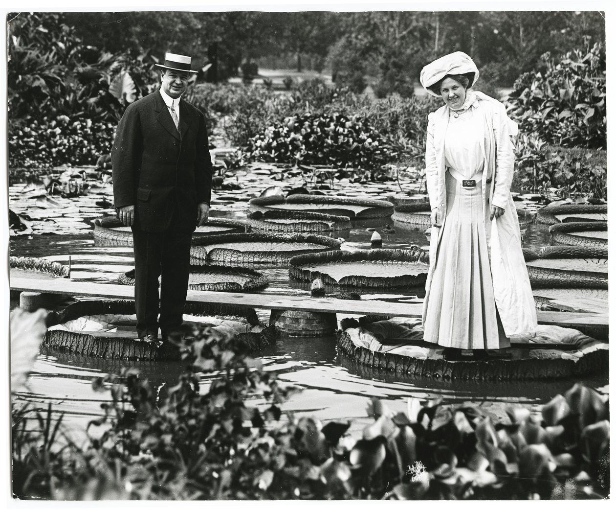 Stagno di ninfee nel Tower Grove Park. Uomo e donna in piedi sui ninfee da Charles Clement Holt