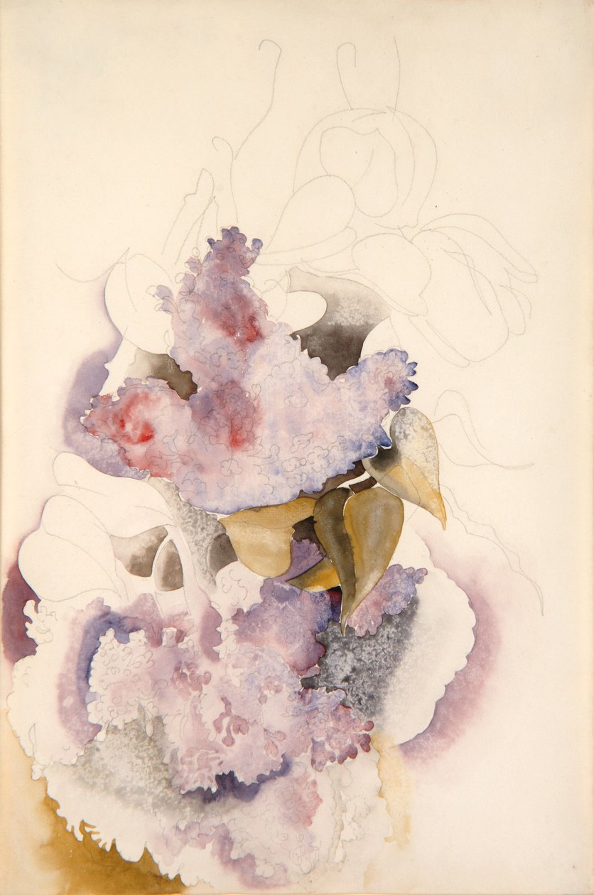 Lillà da Charles Demuth