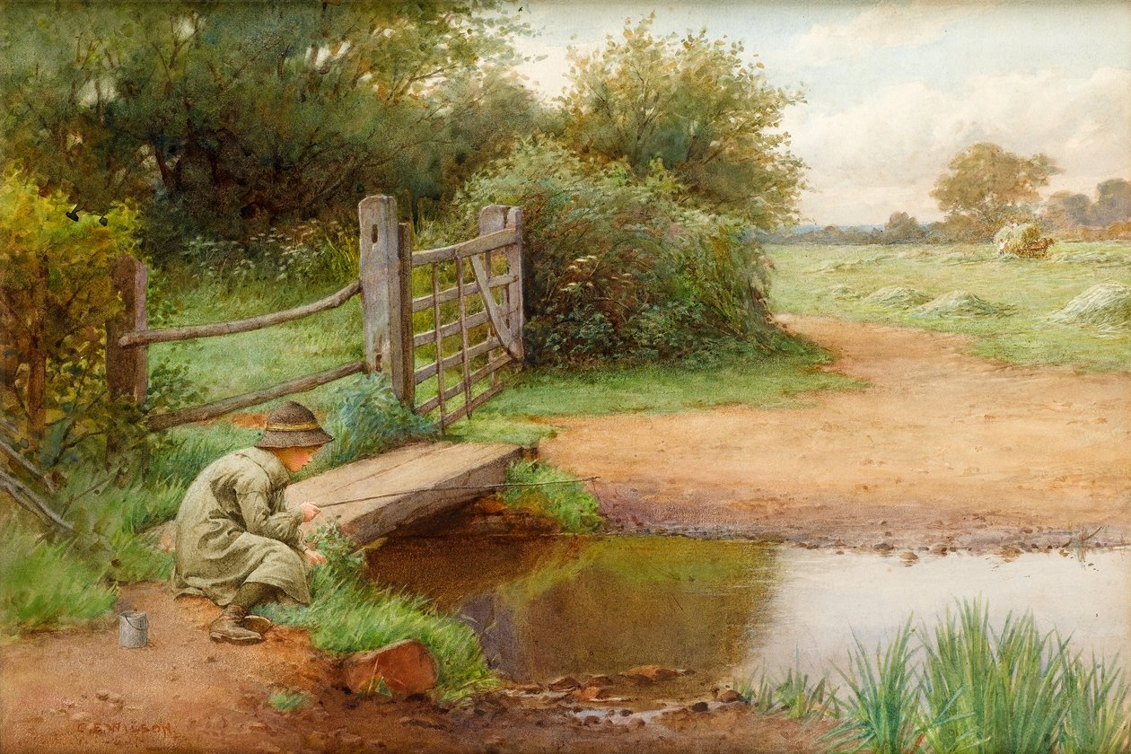 Tentando la fortuna, pescando nel ruscello da Charles Edward Wilson
