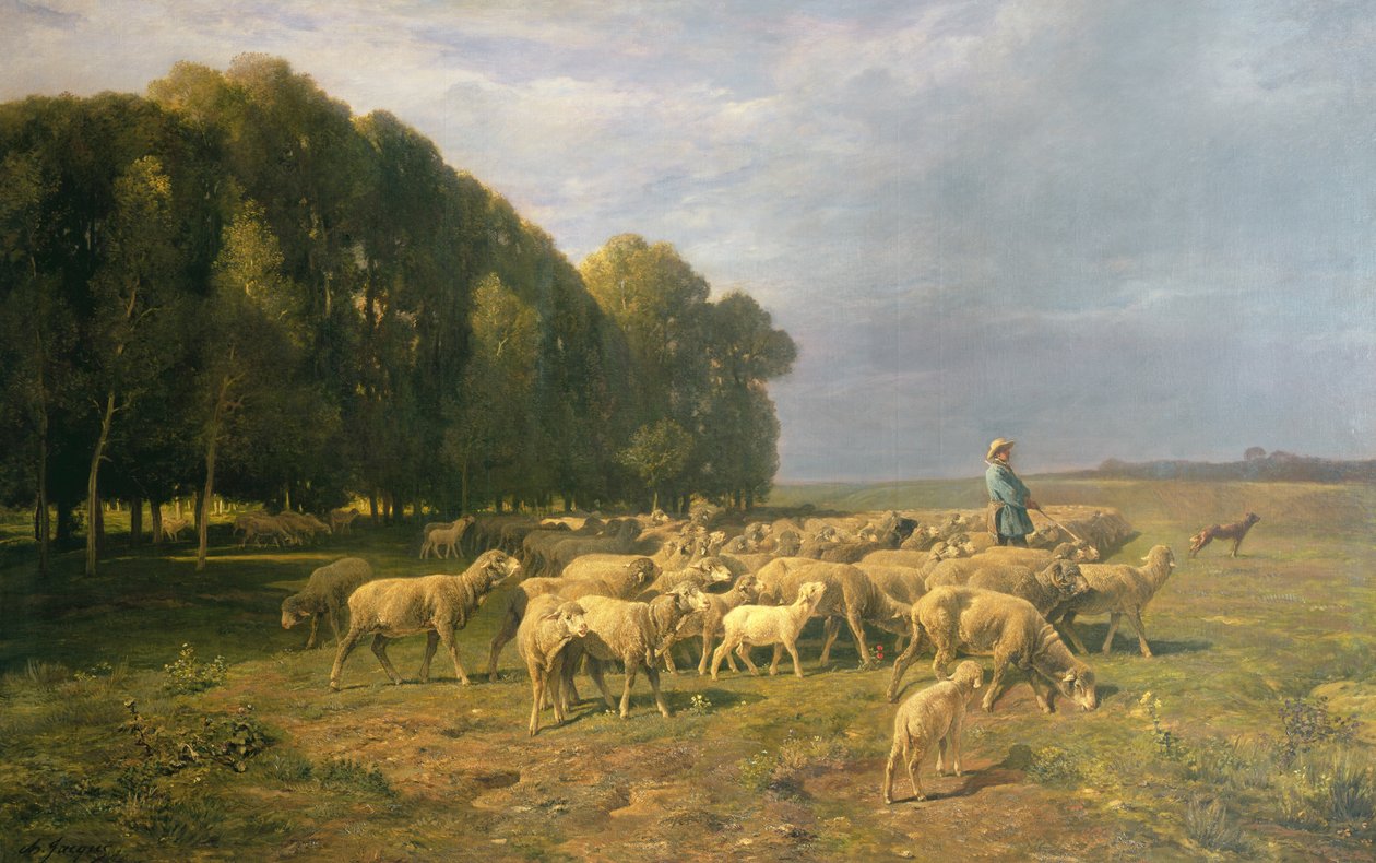 Gregge di pecore in un paesaggio da Charles Emile Jacque