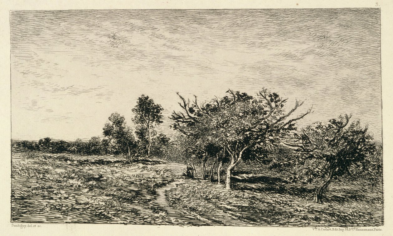 Meli ad Auvers, 1877 da Charles Francois Daubigny