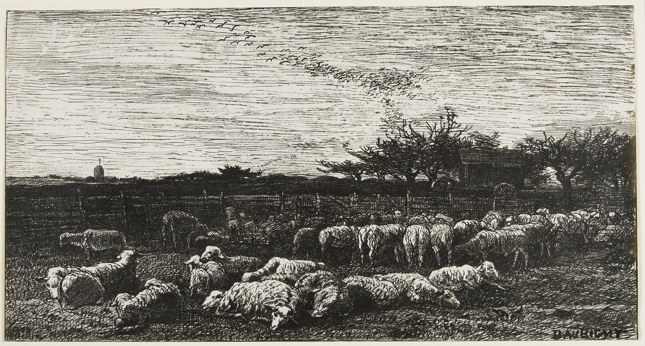 Le Grand Parc a Moutons, 1862 da Charles Francois Daubigny