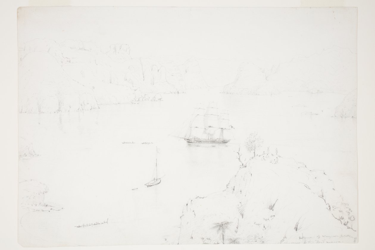 Ingresso di Wangaroa, Nord. La scena del massacro di Boyd da Charles Heaphy