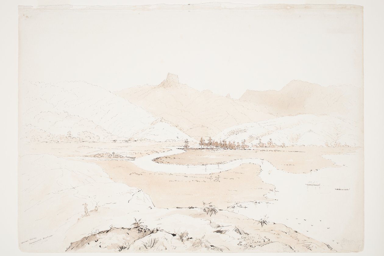 Valle di Waiau, Porto di Coromandel da Charles Heaphy