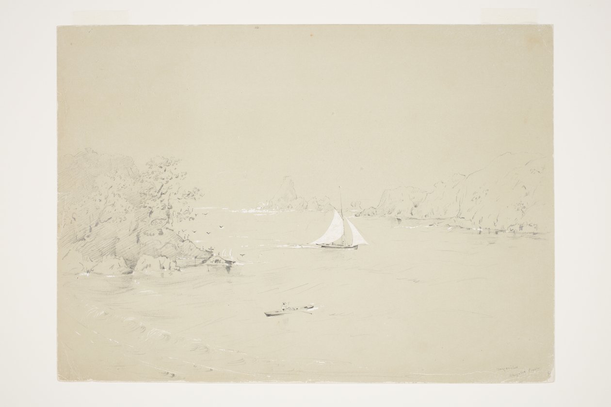 Wangaaihu Wangaroa Coast da Charles Heaphy