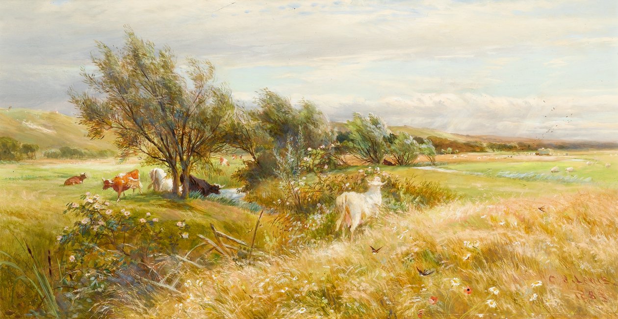 Bovini in un prato acquatico da Charles James Lewis