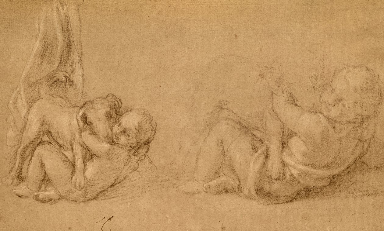 Studio di un bambino con un cane da Charles Le Brun