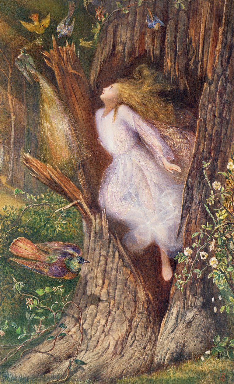 La metamorfosi di Dafne in un albero di alloro da Apollo da Charles Sims