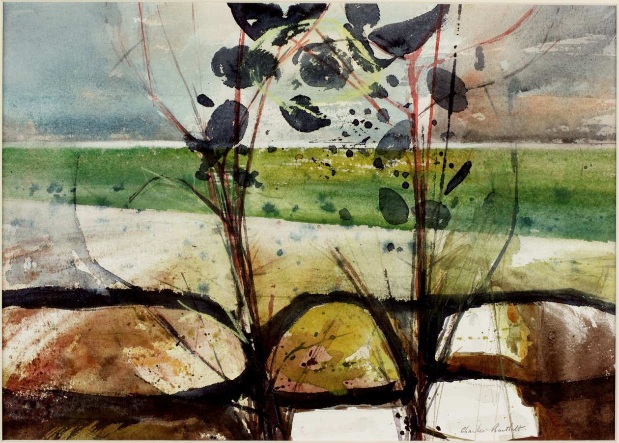 Piante marine da Charles William Bartlett