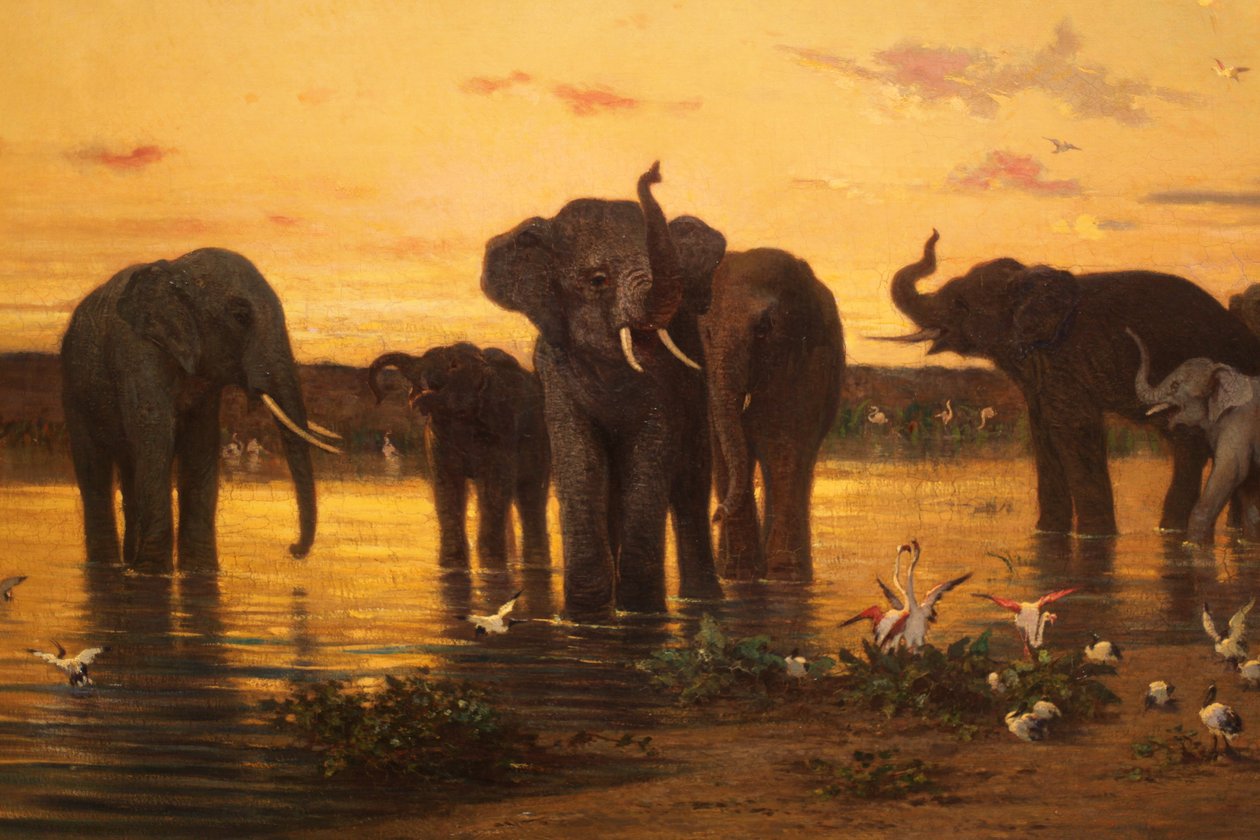 Elefanti africani da Charles Émile de Tournemine