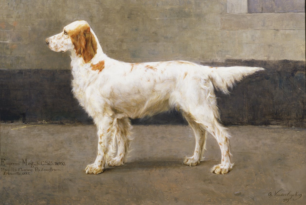 Imperatrice Meg, KCSB, 14953, 1885 da Charles van den Eycken