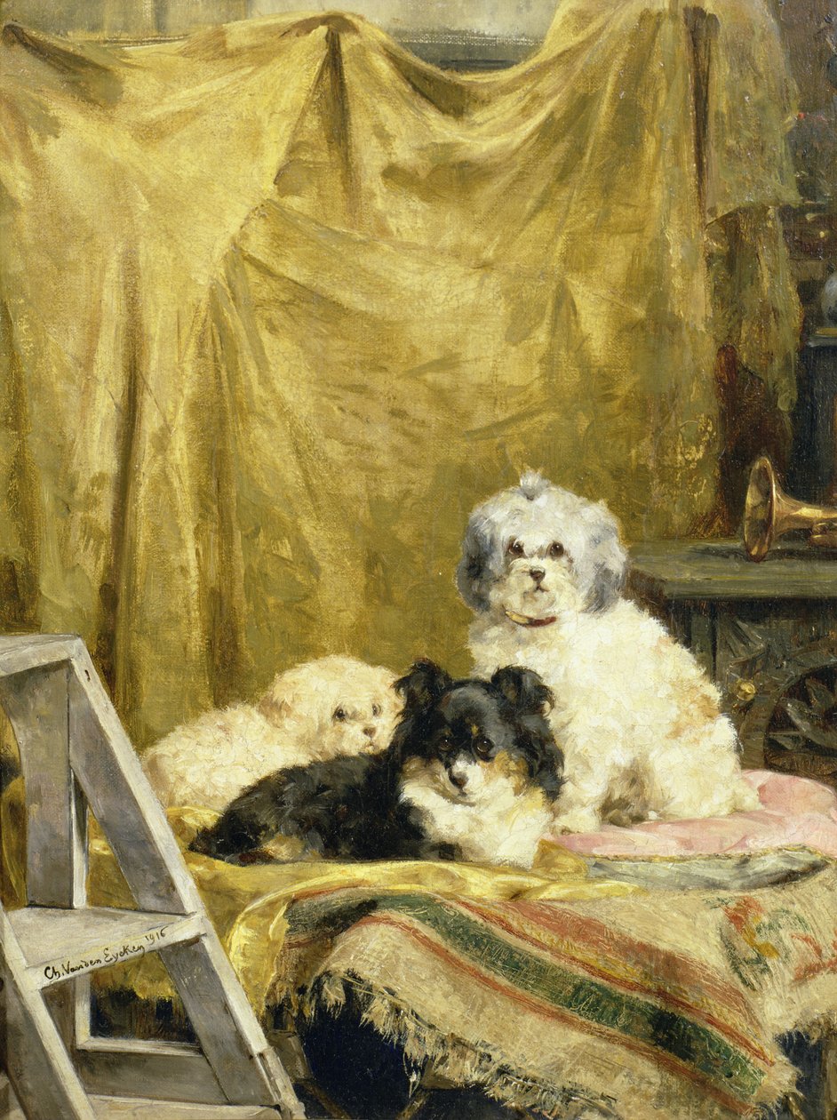 Tre Cani da Charles van den Eycken