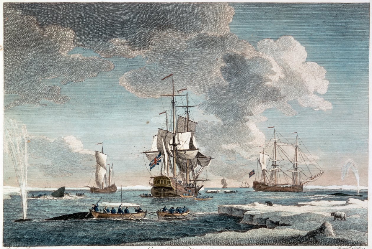 Pesca in Groenlandia, incisione di John Boydell (1719-1804) 1754 (incisione a colori) da Charles (after) Brooking