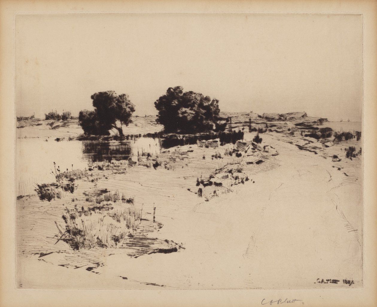 Salici di Cape Ann da Charles A. Platt