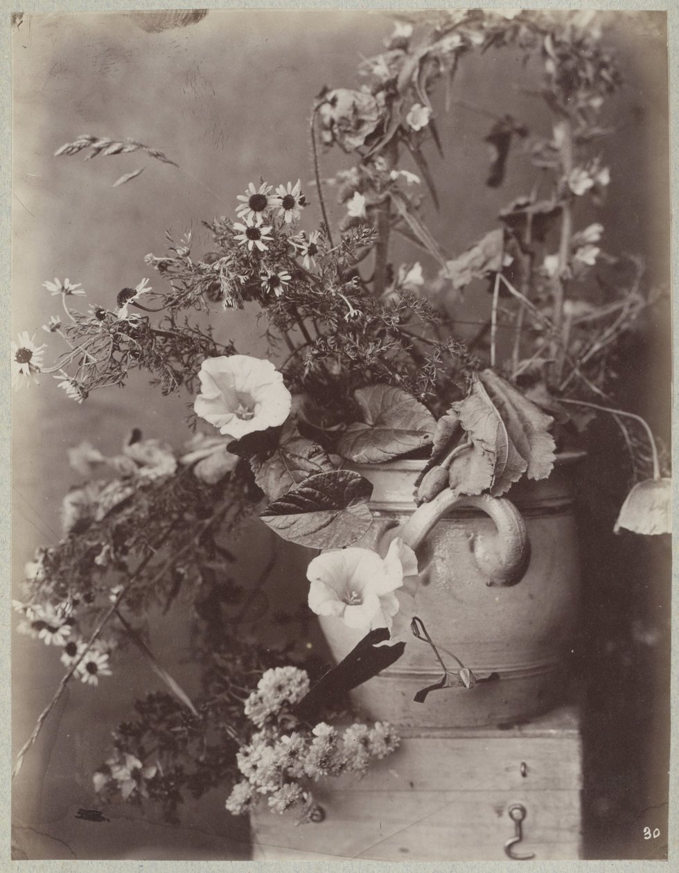Studio di fiori con vaso di Colonia su cassa da Charles Aubry (manner of)