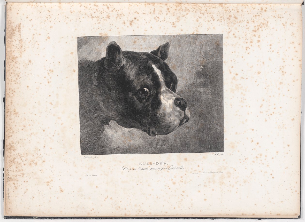 Bull-Dog da Charles Aubry