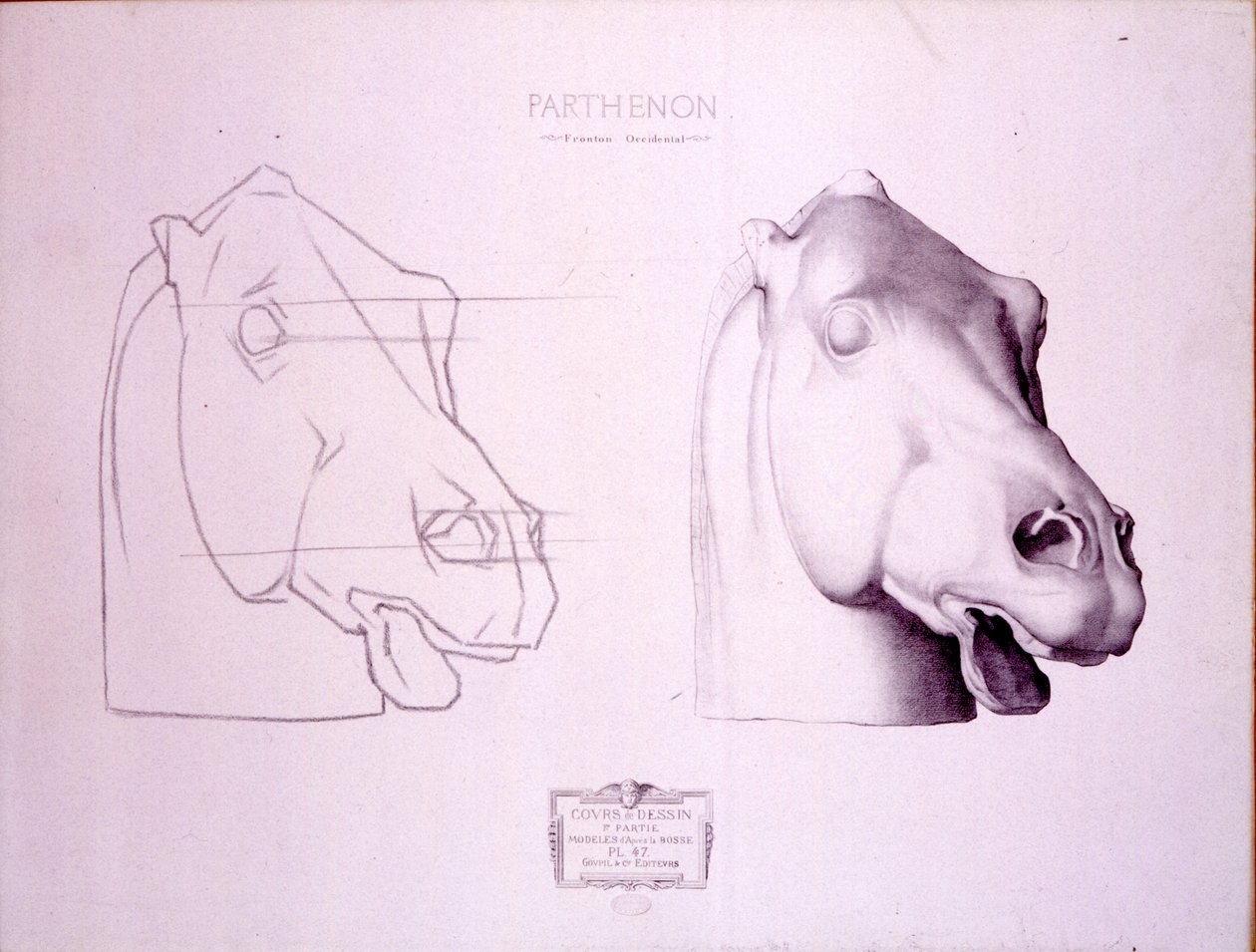 Testa di cavallo dal frontone occidentale del Partenone, tavola 47 da Cours de Dessin, c.1898 da Charles Bargue