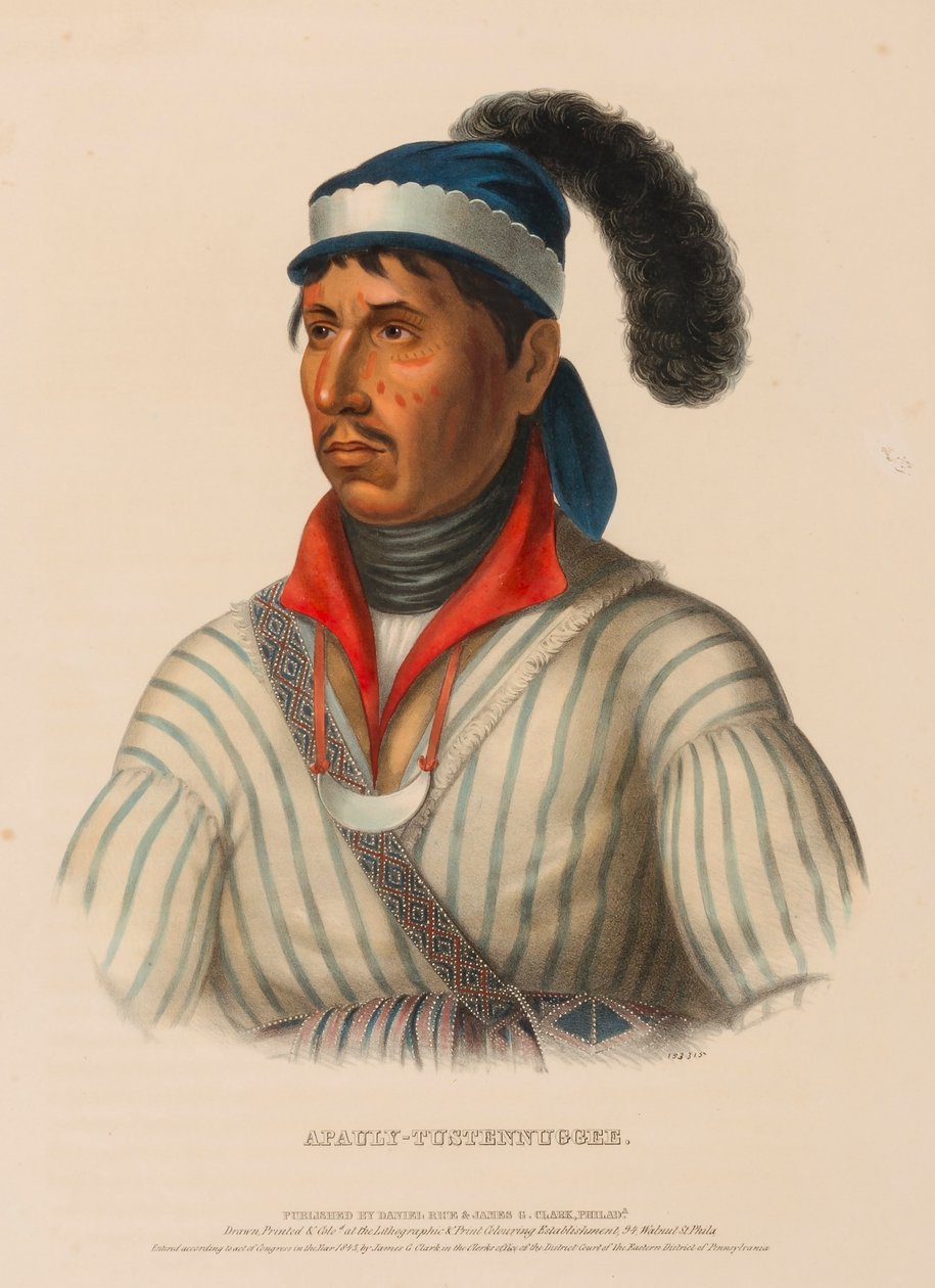 APAULY-TUSTENNUGGEE., da Storia delle tribù indiane del Nord America da Charles Bird King