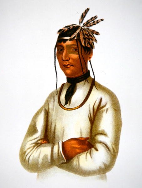 Caatousee della tribù Chippewa (litografia a colori) da Charles Bird King