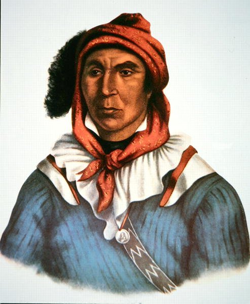 Julcee Mathla da Charles Bird King