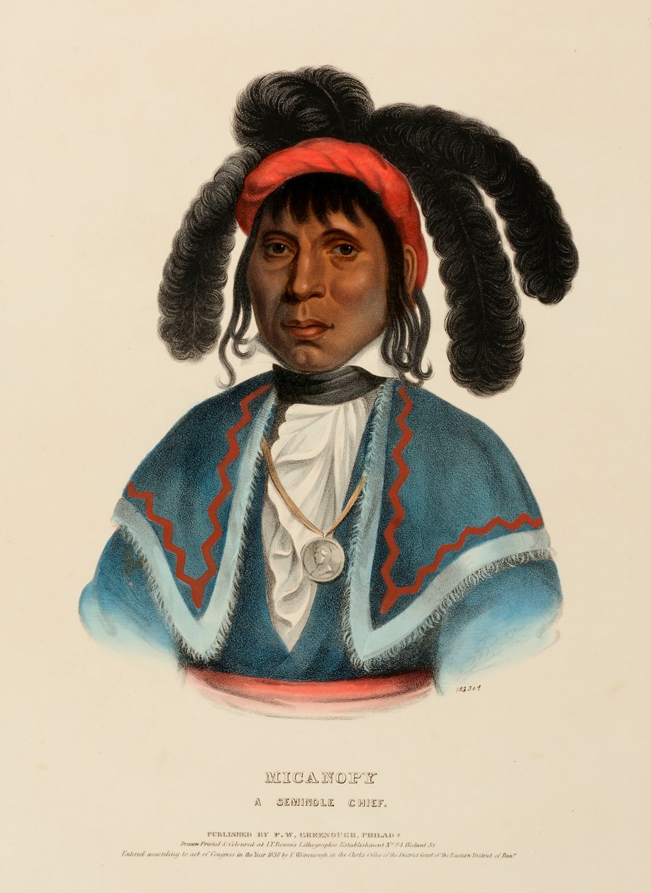 MICANOPY. UN CAPO SEMINOLE, da Storia delle Tribù Indiane del Nord America da Charles Bird King