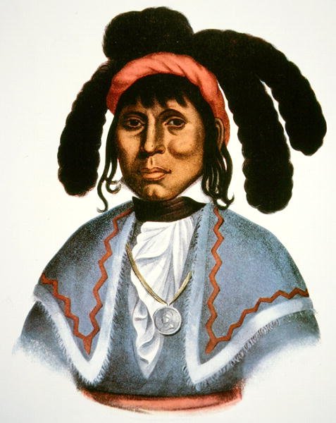 Micanopy (m.1849) c.1826 da Charles Bird King