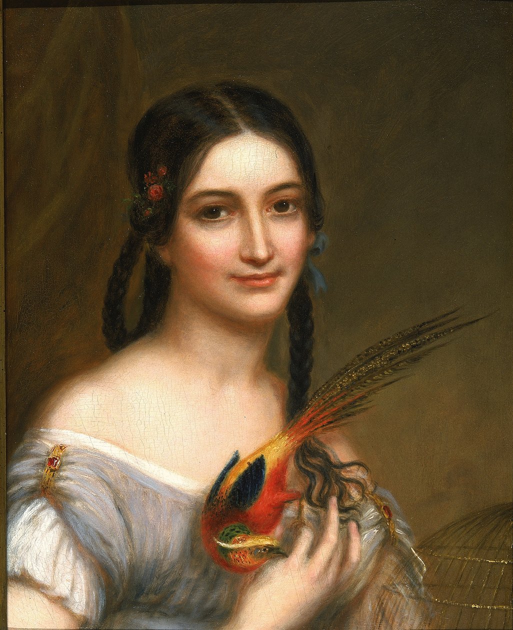 La signorina Satterlee da Charles Bird King