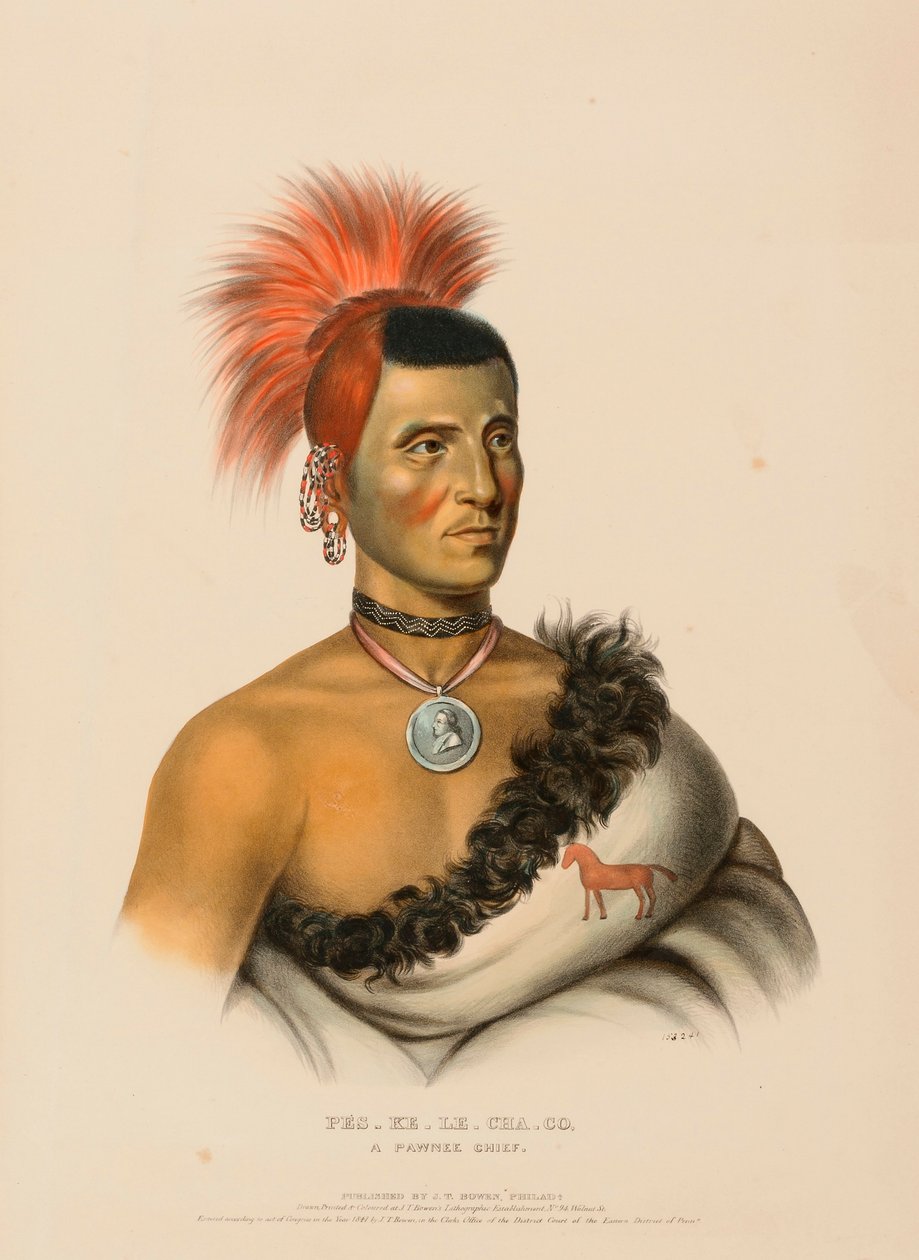 PES-KE-LE-CHA-CO, UN CAPO PAWNEE, da Storia delle tribù indiane del Nord America. da Charles Bird King