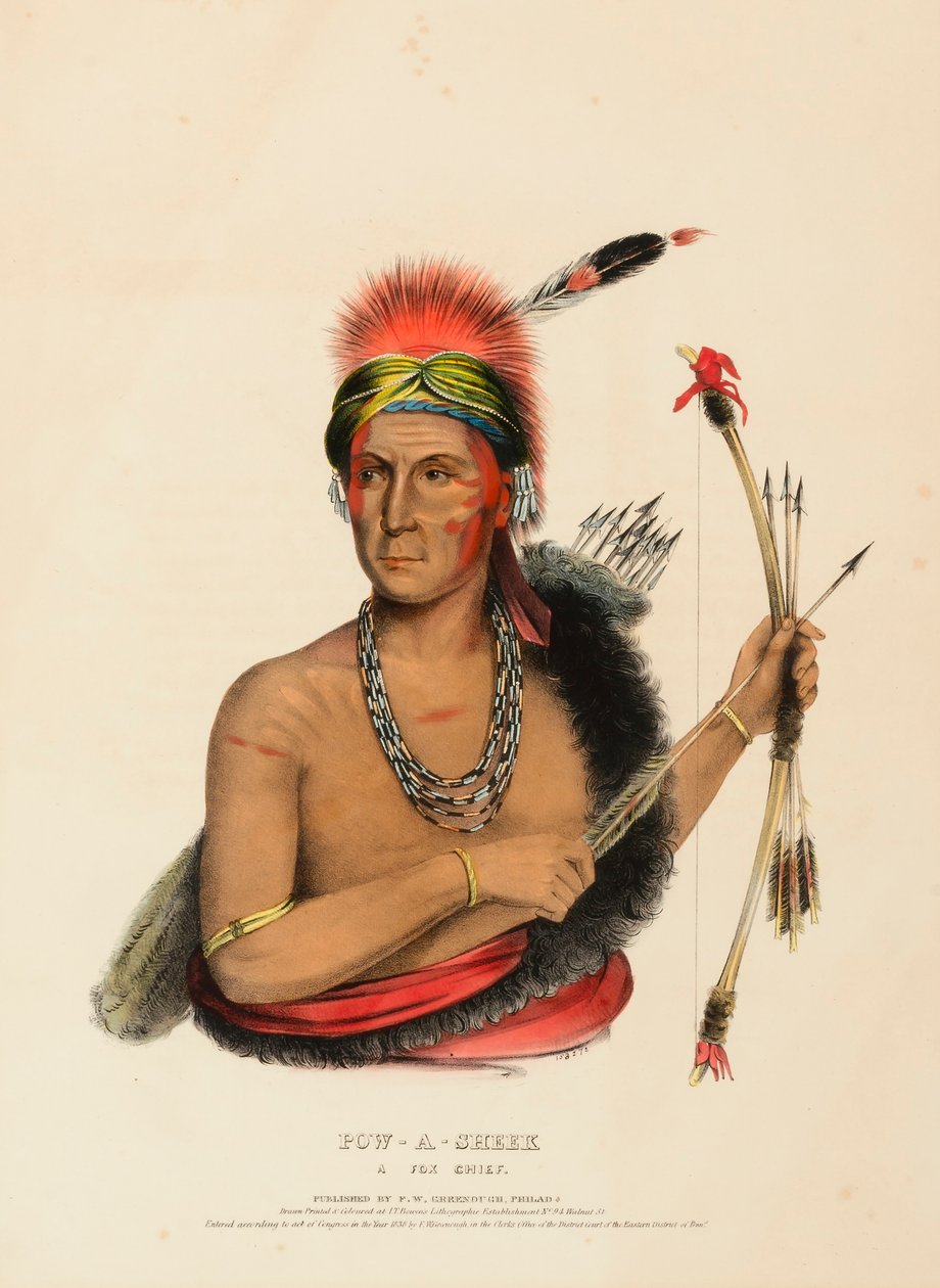 POW-A-SHEEK. UN CAPO FOX. da Charles Bird King