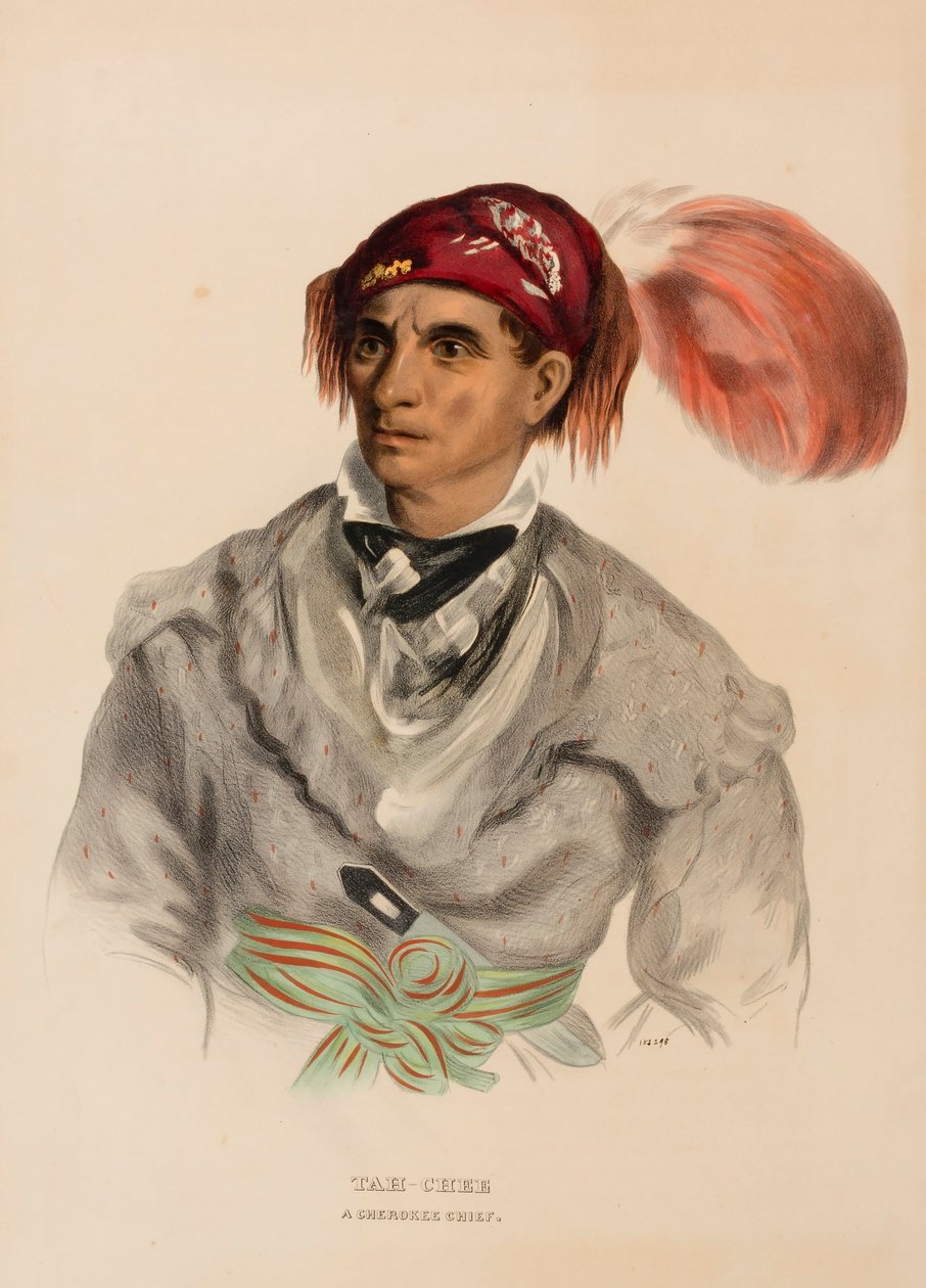 Tah-Chee (olandese), un capo Cherokee, da Storia delle tribù indiane del Nord America da Charles Bird King
