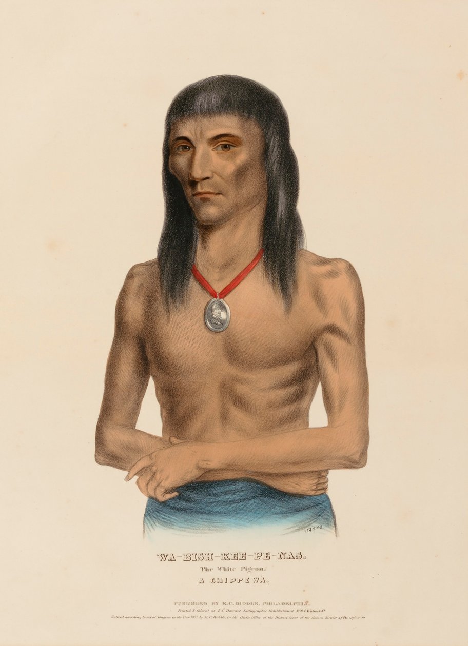 WA-BISH-KEE-PE-NAS. Il piccione bianco. Un CHIPPEWA, da Storia delle Tribù Indiane del Nord America da Charles Bird King