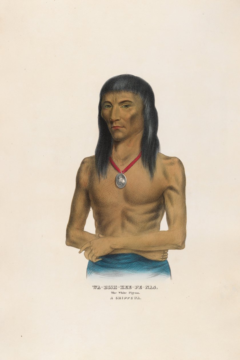 Wa-bish-kee-pe-nas - Il piccione bianco da Charles Bird King