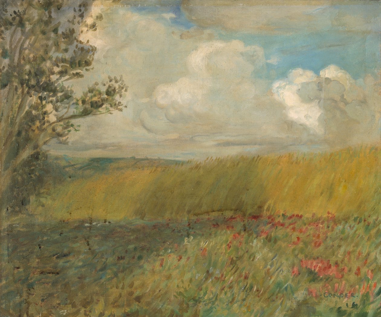 Il campo di grano (olio su tela) da Charles Condor