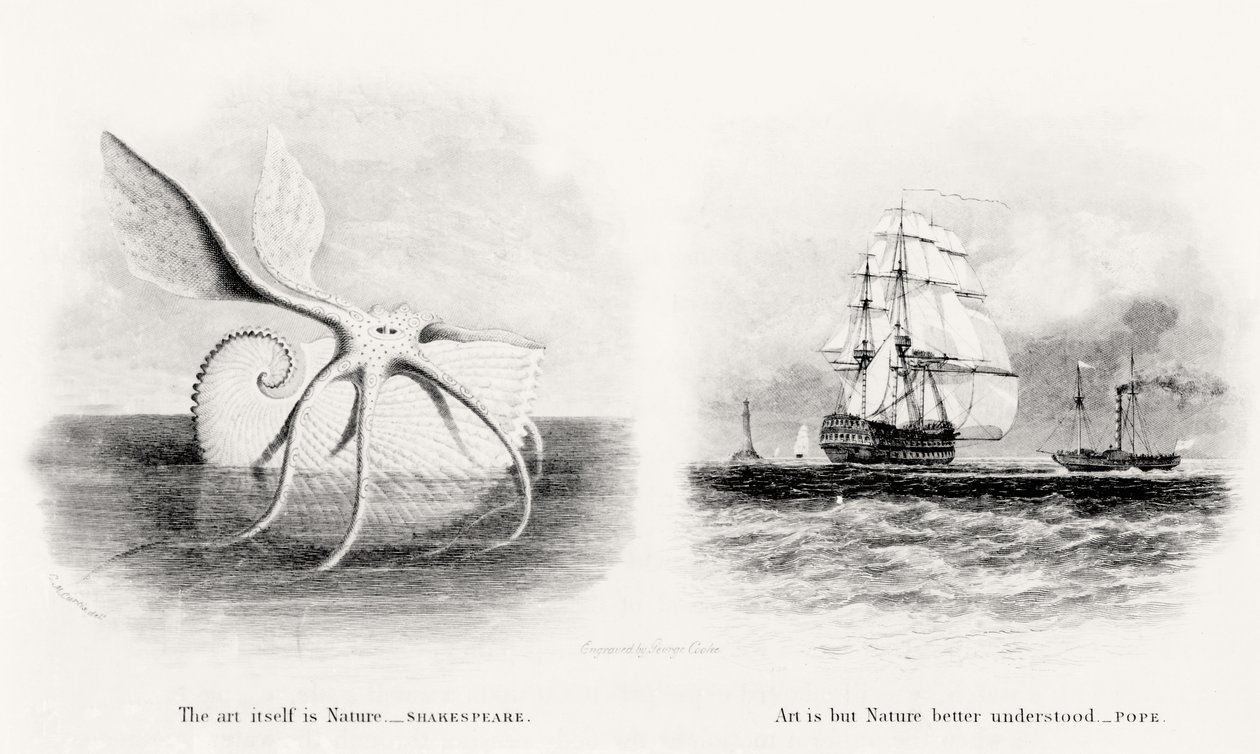 Un calamaro gigante e due navi in mare, inciso da George Cooke (1781-1834) da Charles Curtis