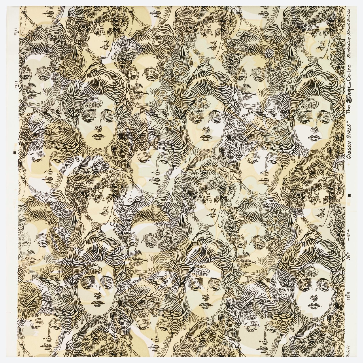 Carta da parati per scapoli, 1902 da Charles Dana Gibson