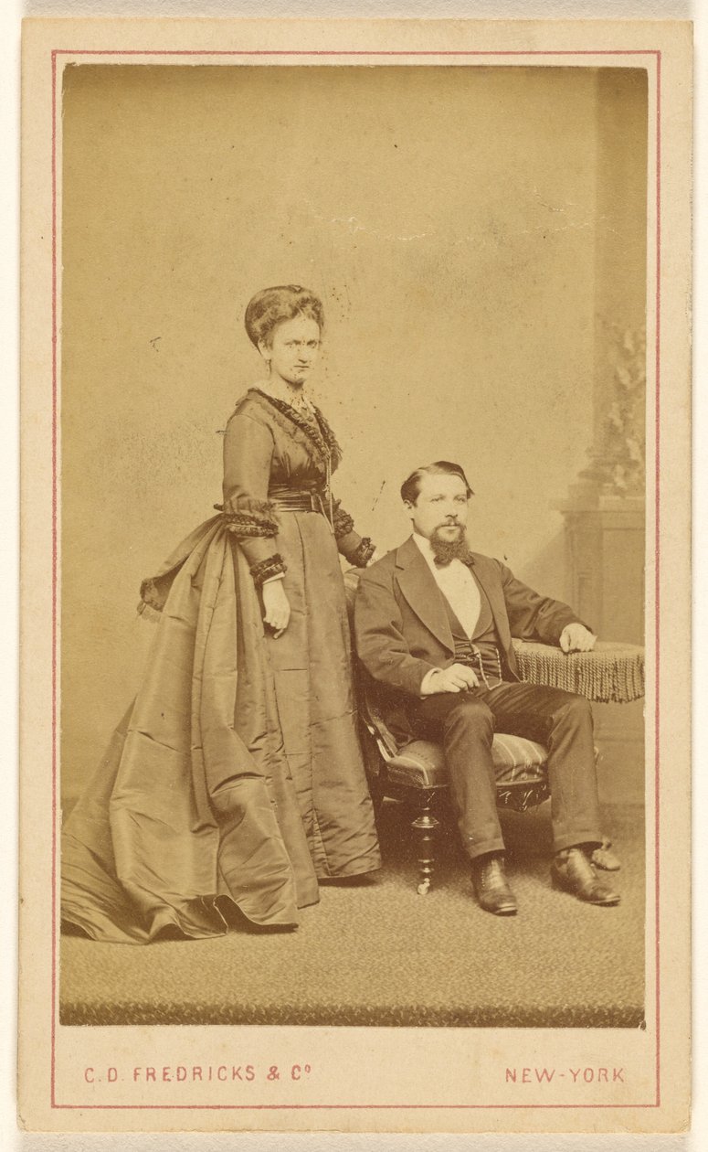 [Coppia non identificata: donna in piedi, uomo con barba Vandyke seduto]. da Charles DeForest Fredricks