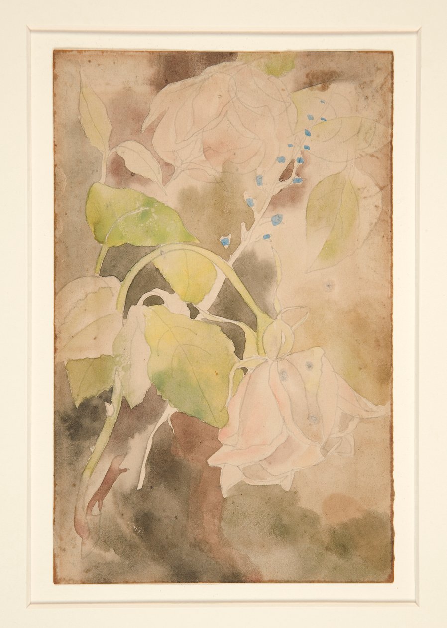 Rosa Pesca da Charles Demuth
