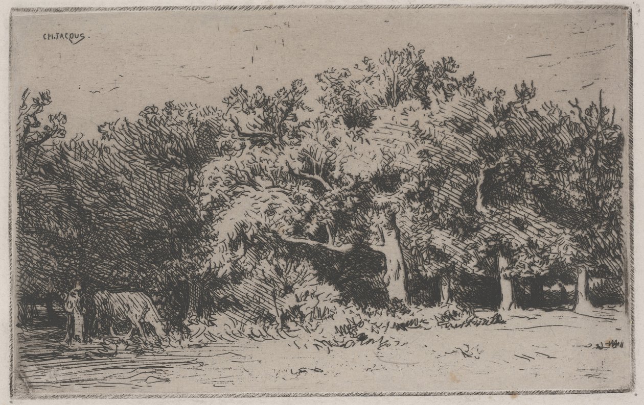 Un angolo della foresta di Fontainebleau da Charles Emile Jacque