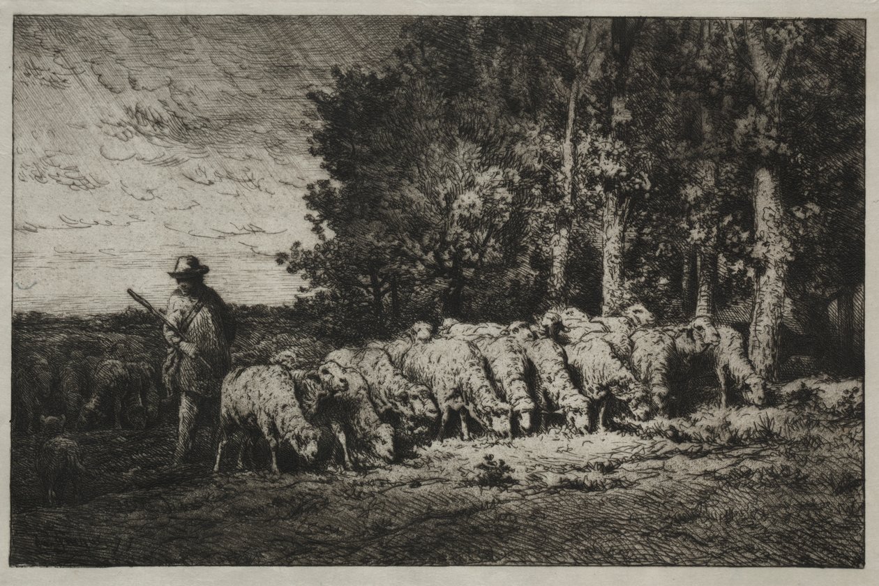 Un gregge al margine di una foresta da Charles Emile Jacque