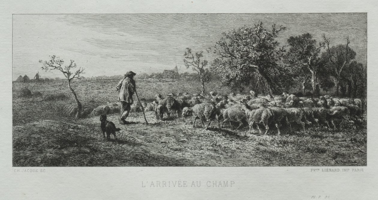 Arrivo al campo da Charles Emile Jacque