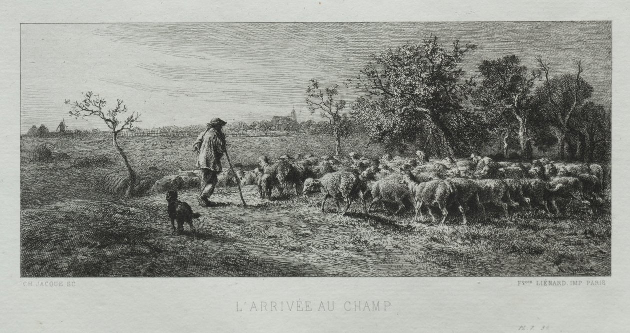Arrivo al campo da Charles Emile Jacque