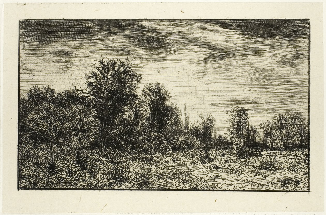 Bordo di un bosco, sotto cielo nuvoloso da Charles Emile Jacque