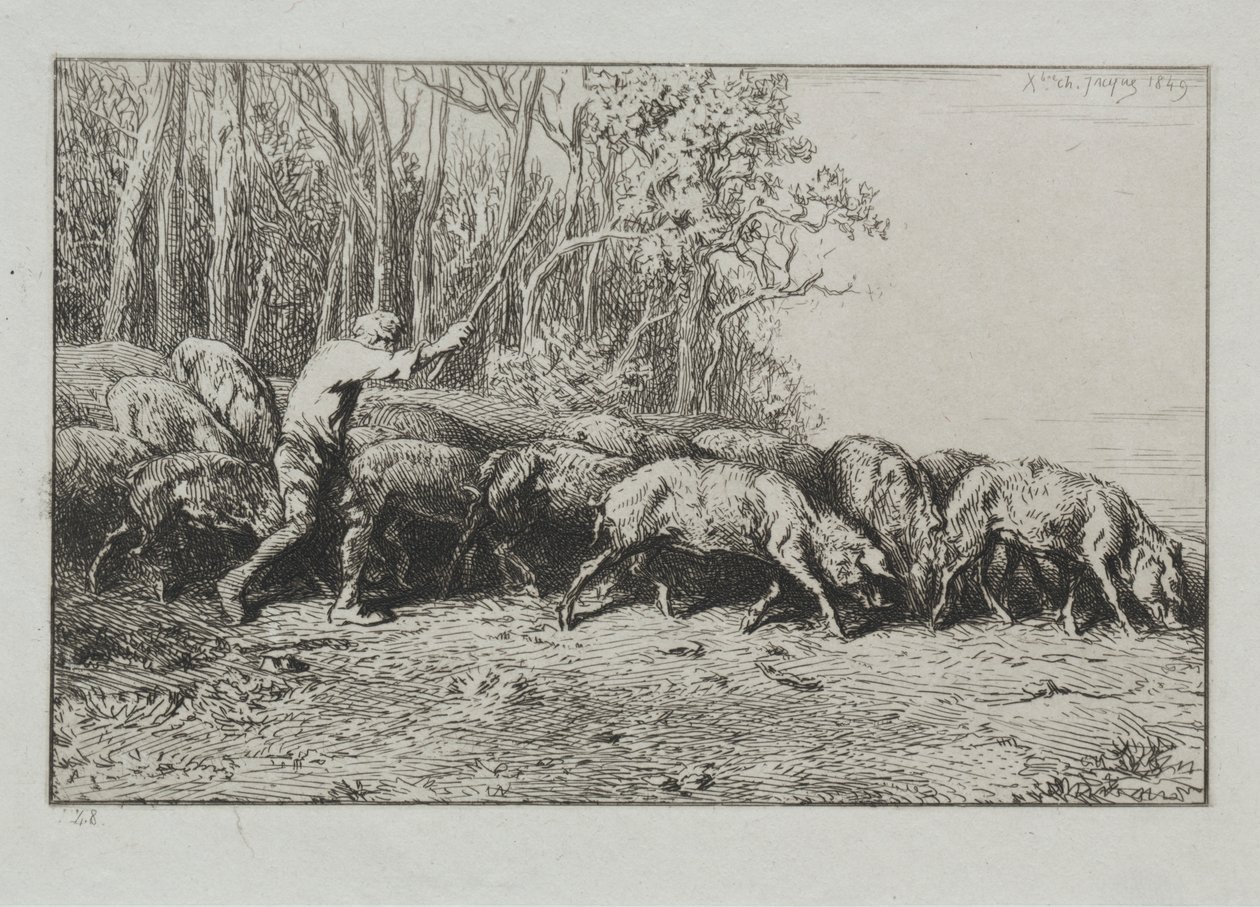 Branco di Maiali che Escono da una Foresta da Charles Emile Jacque