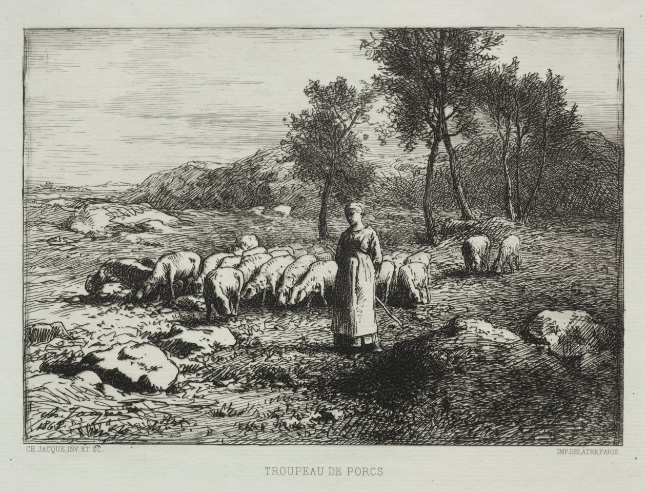 Branco di suini da Charles Emile Jacque