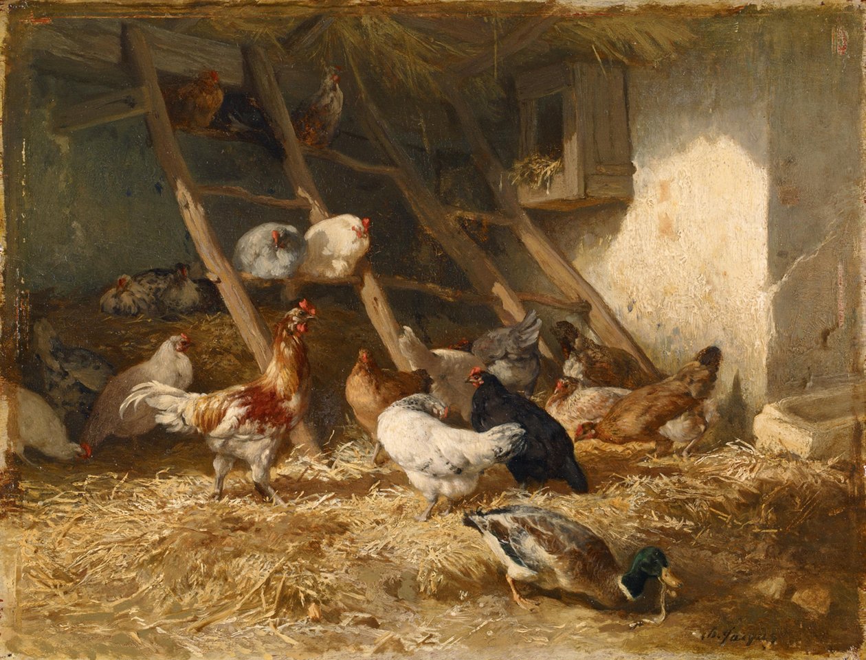 Galline da Charles Emile Jacque