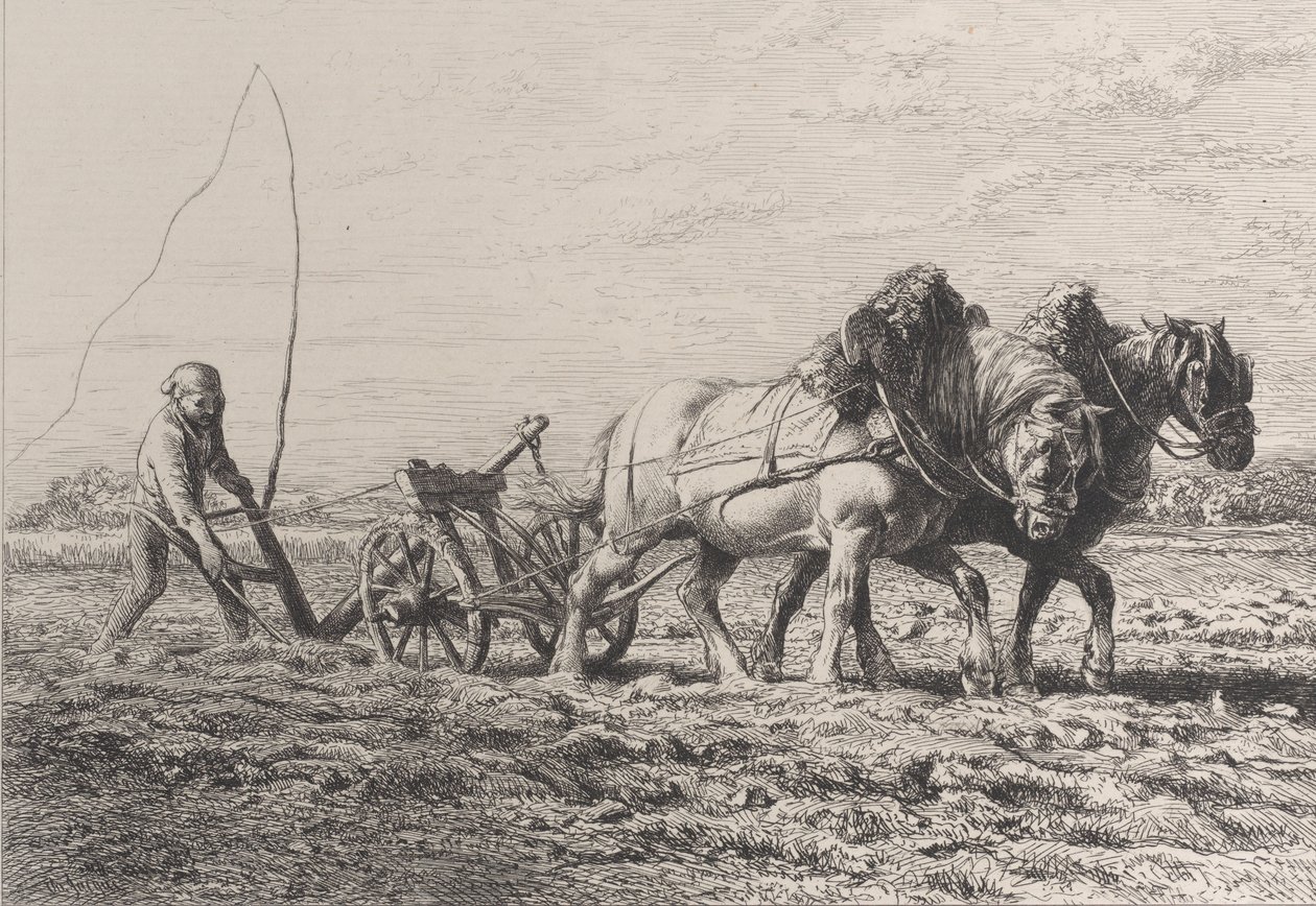 Aratura, 1864 da Charles Emile Jacque
